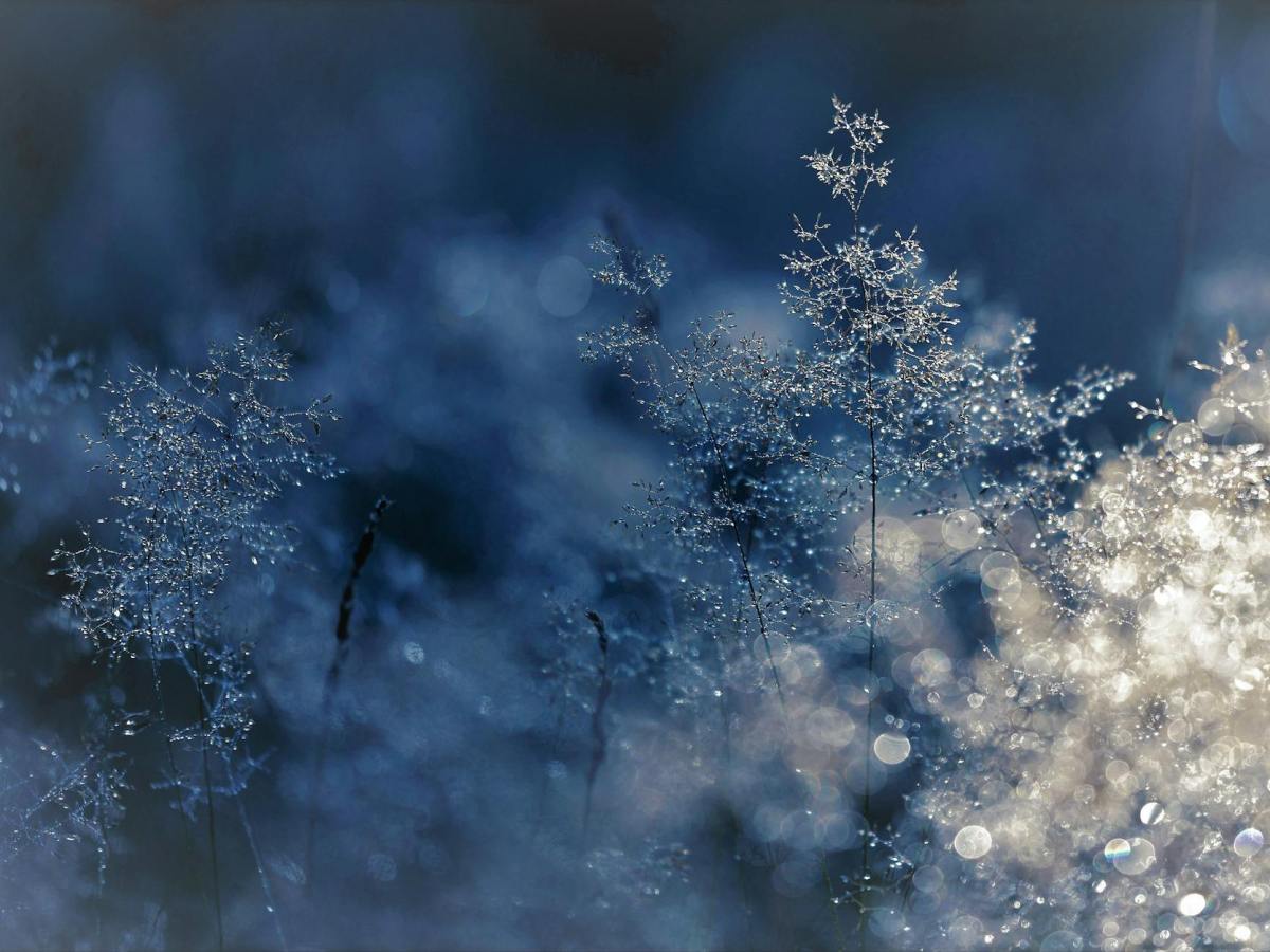 Signs of Winter